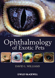 бесплатно читать книгу Ophthalmology of Exotic Pets автора David Williams