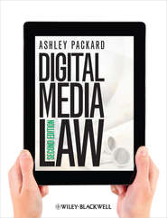 бесплатно читать книгу Digital Media Law автора Ashley Packard