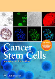 бесплатно читать книгу Cancer Stem Cells автора Vinagolu Rajasekhar