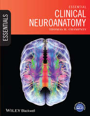бесплатно читать книгу Essential Clinical Neuroanatomy автора Thomas Champney