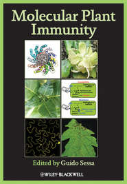 бесплатно читать книгу Molecular Plant Immunity автора Guido Sessa