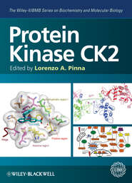 бесплатно читать книгу Protein Kinase CK2 автора Lorenzo Pinna