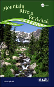 бесплатно читать книгу Mountain Rivers Revisited автора Ellen Wohl
