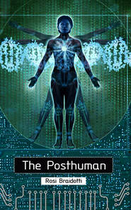 бесплатно читать книгу The Posthuman автора Rosi Braidotti