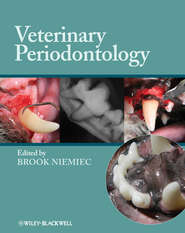 бесплатно читать книгу Veterinary Periodontology автора Brook Niemiec