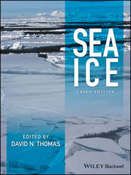 бесплатно читать книгу Sea Ice автора David N. Thomas