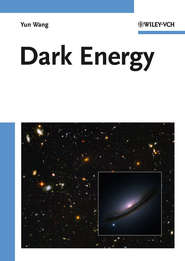 бесплатно читать книгу Dark Energy автора Yun Wang