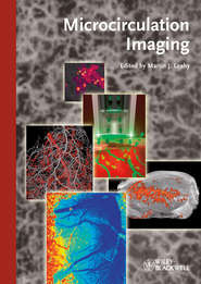 бесплатно читать книгу Microcirculation Imaging автора Martin Leahy