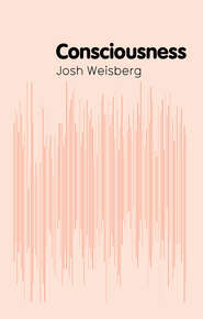 бесплатно читать книгу Consciousness автора Josh Weisberg