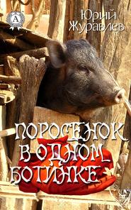 бесплатно читать книгу Поросенок в одном ботинке автора Юрий Журавлев