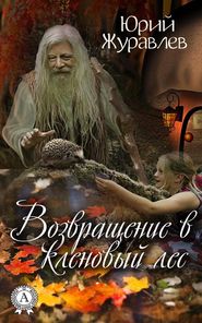 бесплатно читать книгу Возвращение в кленовый лес автора Юрий Журавлев