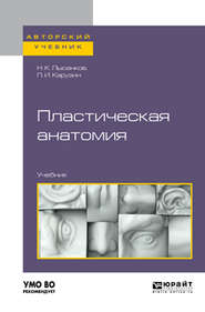бесплатно читать книгу Пластическая анатомия. Учебник для вузов автора Петр Карузин