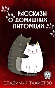 бесплатно читать книгу Рассказы о домашних питомцах автора Владимир Тахистов