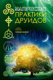 бесплатно читать книгу Магические практики друидов автора  Коллектив авторов