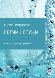 бесплатно читать книгу Лётчик стужи автора Андрей Родионов