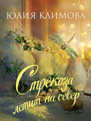 бесплатно читать книгу Стрекоза летит на север автора Юлия Климова