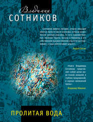 бесплатно читать книгу Пролитая вода автора Владимир Сотников