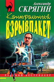бесплатно читать книгу Контрольный взрывпакет, или Не сердите электрика! автора Александр Скрягин