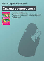 бесплатно читать книгу Страна вечного лета автора Анна и Сергей Литвиновы