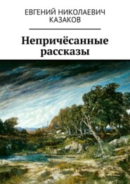 бесплатно читать книгу Непричёсанные рассказы автора Евгений Казаков