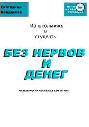 бесплатно читать книгу Из школьника в студенты без нервов и денег автора Катерина Кандакова