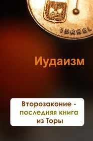 бесплатно читать книгу Второзаконие – последняя книга из Торы автора Илья Мельников