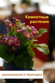 бесплатно читать книгу Комнатные растения. Размножение и пересадка автора Илья Мельников