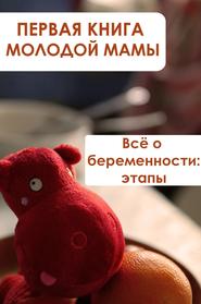 бесплатно читать книгу Всё о беременности: этапы автора Илья Мельников