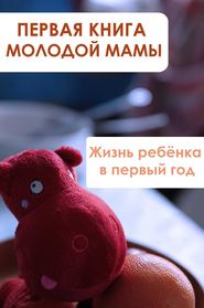 бесплатно читать книгу Жизнь ребёнка в первый год автора Илья Мельников