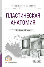 бесплатно читать книгу Пластическая анатомия для СПО автора Петр Карузин
