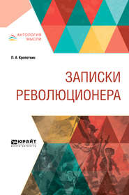 бесплатно читать книгу Записки революционера автора Пётр Кропоткин