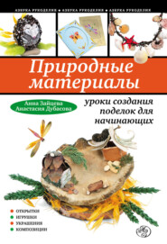 бесплатно читать книгу Природные материалы: уроки создания поделок для начинающих автора Анастасия Дубасова