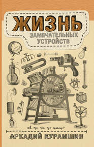бесплатно читать книгу Жизнь замечательных устройств автора Аркадий Курамшин
