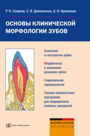 бесплатно читать книгу Основы клинической морфологии зубов: учебное пособие автора Рудольф Самусев