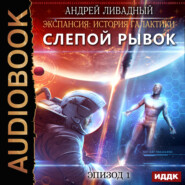 бесплатно читать книгу Слепой Рывок автора Андрей Ливадный