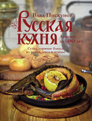 бесплатно читать книгу Русская кухня. Лучшее за 500 лет. Книга вторая. Супы, горячие блюда из рыбы, мяса и птицы автора Влад Пискунов