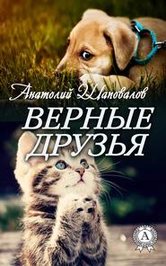 бесплатно читать книгу Верные друзья автора Анатолий Шаповалов