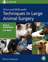 бесплатно читать книгу Turner and McIlwraith's Techniques in Large Animal Surgery автора Hendrickson Dean