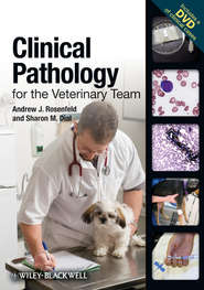 бесплатно читать книгу Clinical Pathology for the Veterinary Team автора Dial Sharon