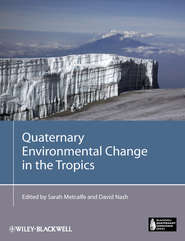 бесплатно читать книгу Quaternary Environmental Change in the Tropics автора Metcalfe Sarah