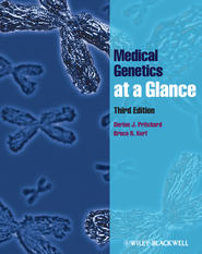 бесплатно читать книгу Medical Genetics at a Glance автора Korf Bruce