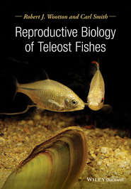 бесплатно читать книгу Reproductive Biology of Teleost Fishes автора Smith Carl