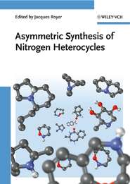 бесплатно читать книгу Asymmetric Synthesis of Nitrogen Heterocycles автора Husson H.