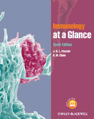 бесплатно читать книгу Immunology at a Glance автора Playfair J.