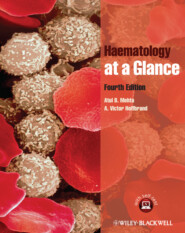 бесплатно читать книгу Haematology at a Glance автора Hoffbrand A.