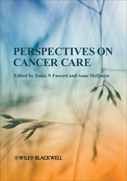 бесплатно читать книгу Perspectives on Cancer Care автора McQueen Anne
