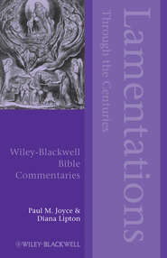бесплатно читать книгу Lamentations Through the Centuries автора Joyce Paul