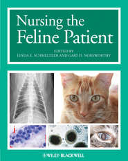 бесплатно читать книгу Nursing the Feline Patient автора Norsworthy Gary