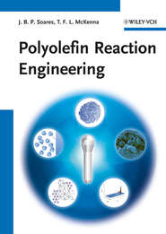 бесплатно читать книгу Polyolefin Reaction Engineering автора McKenna Timothy