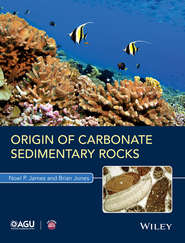 бесплатно читать книгу Origin of Carbonate Sedimentary Rocks автора Jones Brian